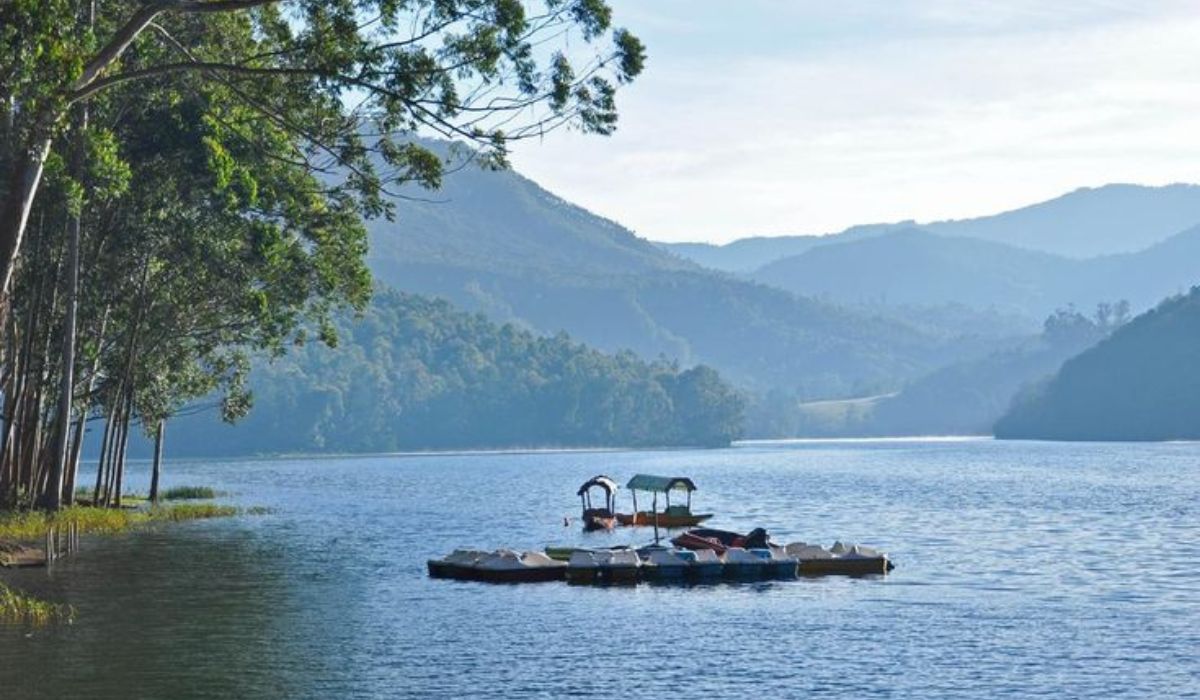 The Perfect Munnar Hills Escape: 3-Day Tea Gardens, Waterfalls &amp; Mountain Views!