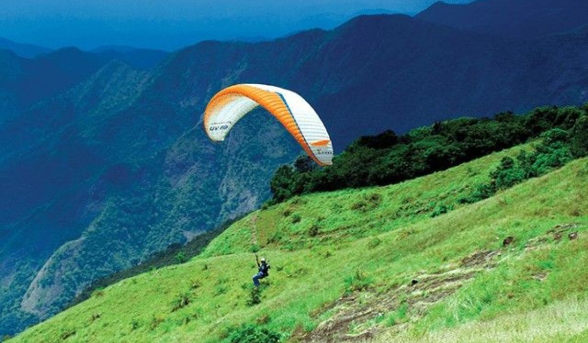 The Perfect Vagamon &amp; Thekkady Adventure Escape: Hills, Wildlife &amp; Scenic Kerala!